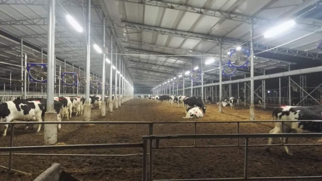 Dairy farm