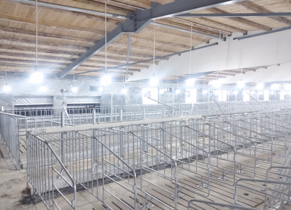 LED upgrades improve comfort for both pigs and caretakers.