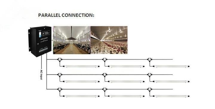 Flicker-free and dimmable LED livestock lighting control