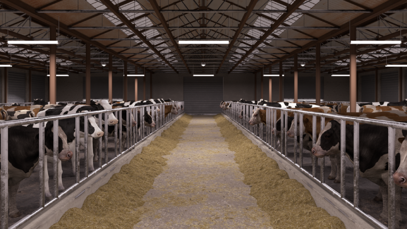 3cfb2b3737b0ddc6fc3bae6ed05fc25f