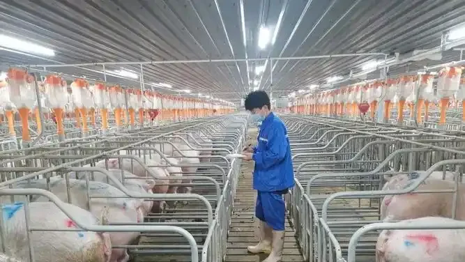 u=929553399,634486217&fm=253&fmt=auto&app=120&f=JPEG