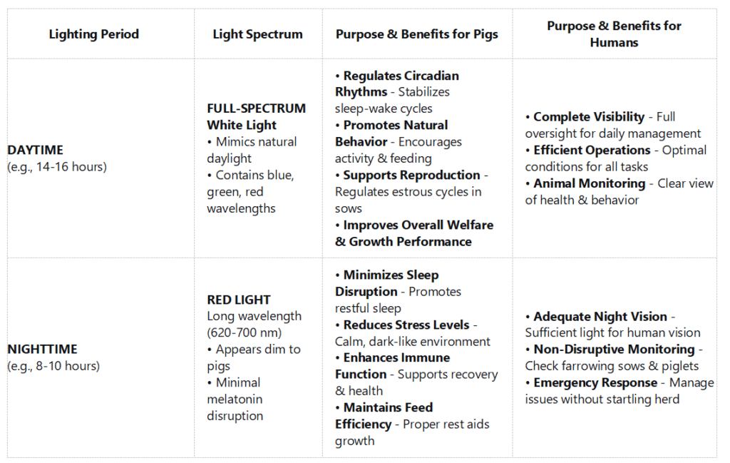 Daytime full-spectrum and nighttime red light for pig barns