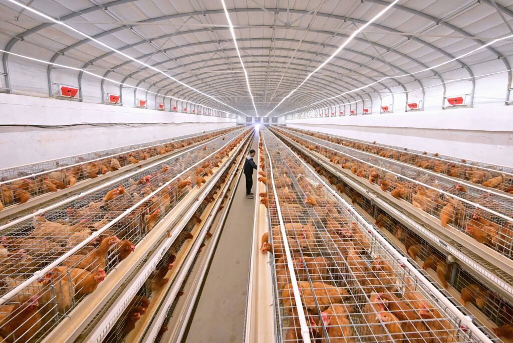 Balanced tone promotes stable fertility