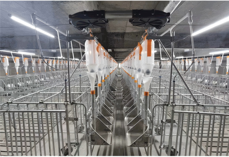 LED lighting in livestock barn